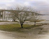 Пейзаж с мостом и деревом - Егор Зырянов