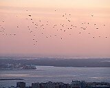 Зимний закат над Волгой - Бэлла Ващенко