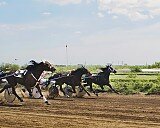 Дорога к финишу - Александра Бобылёва