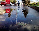 Параллели - Таня Ермачкова